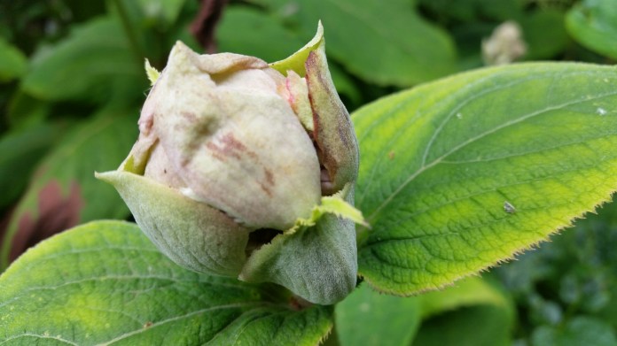 20150803_152015.jpg image