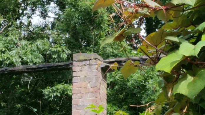 20150803_153445.jpg image