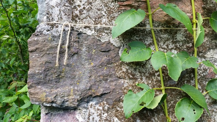 20150803_153810.jpg image