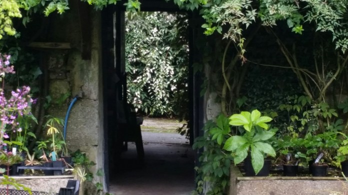 20150803_161028.jpg image