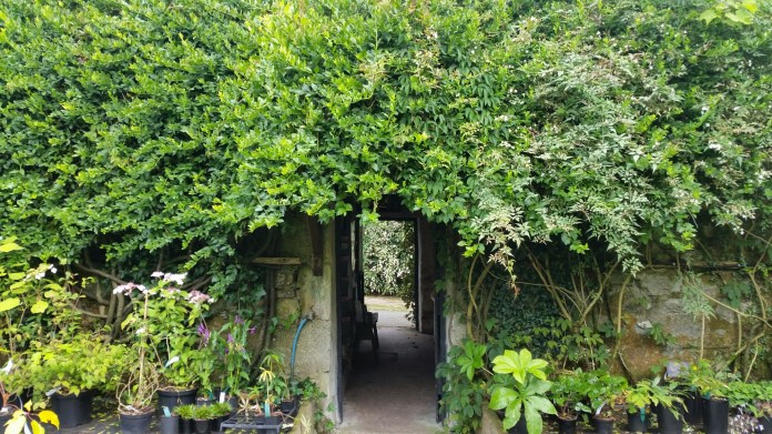 20150803_161106.jpg image