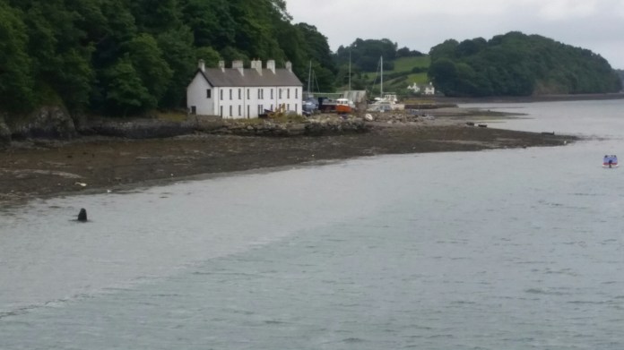 20150809_162053.jpg image