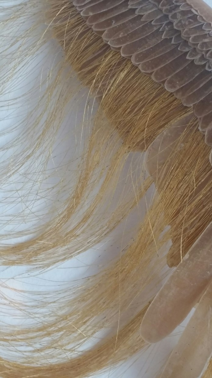 20150811_164451.jpg image