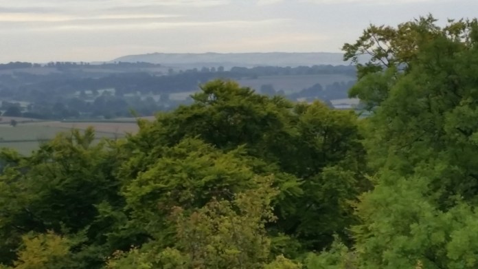 20150913_080949.jpg image