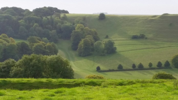 20150913_084525.jpg image