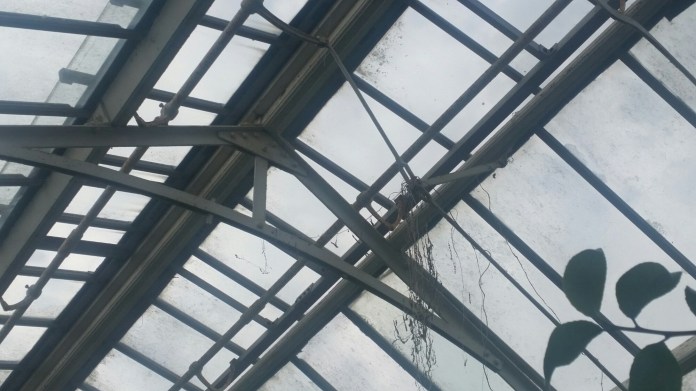 20150918_160837.jpg image