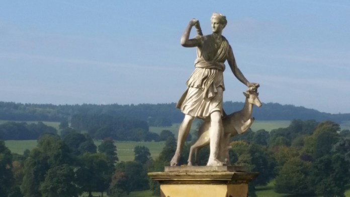 20150919_101457.jpg image