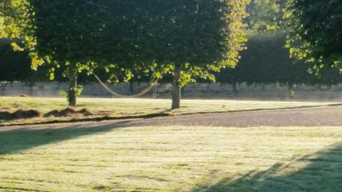 20150926_084815.jpg image