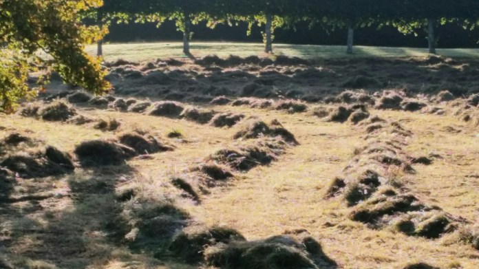 20150926_085240.jpg image