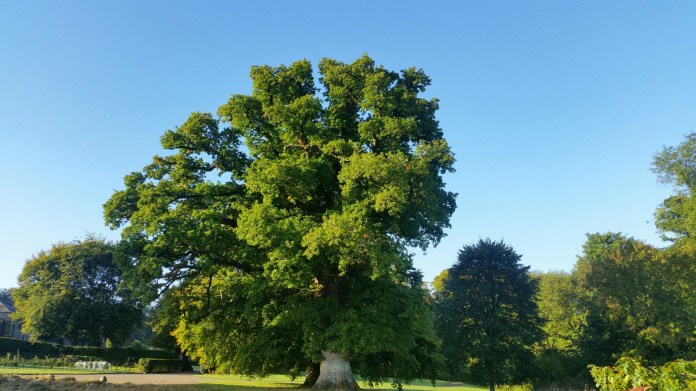 20150926_085326.jpg image