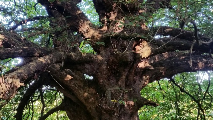 20150926_104705.jpg image