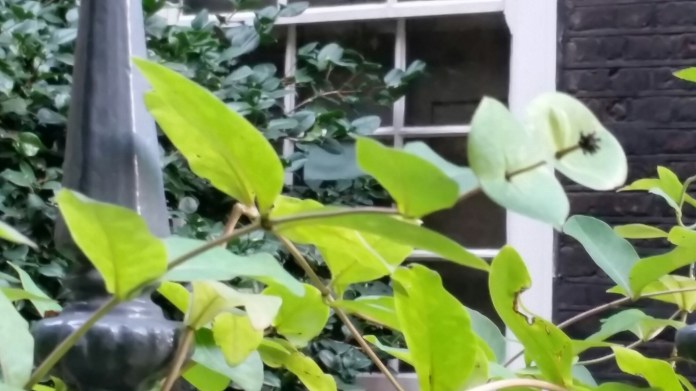 20151008_083725.jpg image