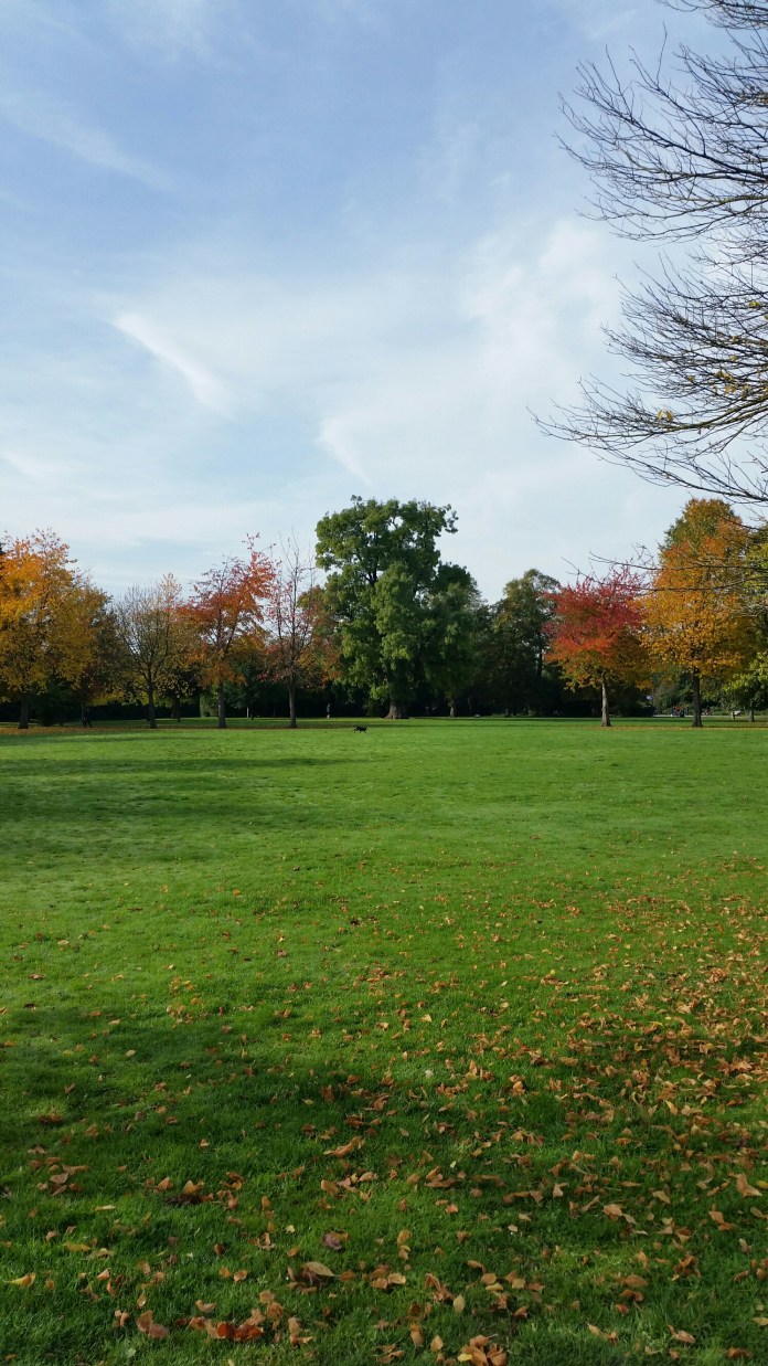 20151025_105053.jpg image