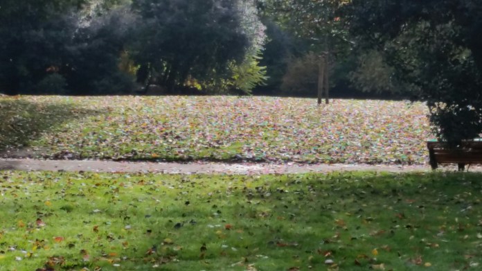 20151025_112349.jpg image