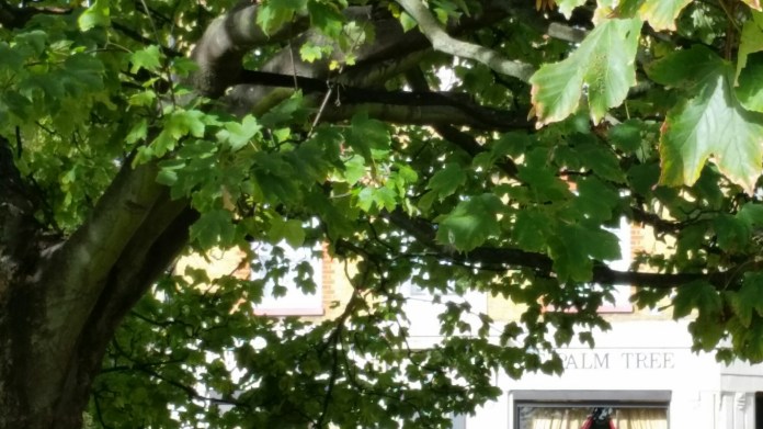 20151025_114317.jpg image