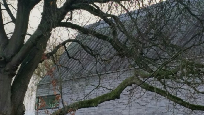 20151127_143934.jpg image