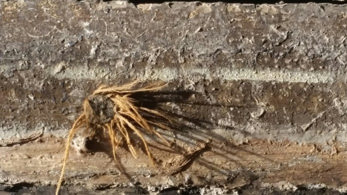 20151128_101050.jpg image