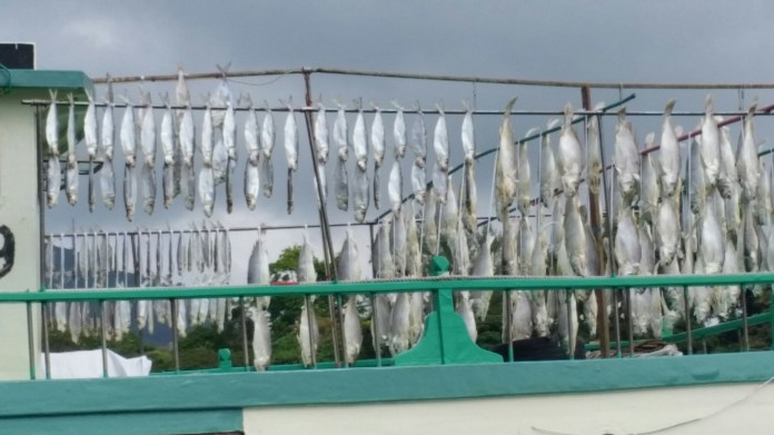 20151108_093817.jpg image