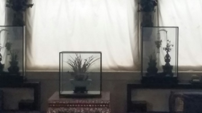 20151112_152139.jpg image