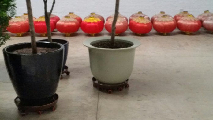 20151113_150712.jpg image