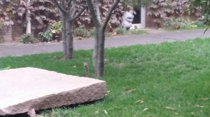 20151113_151716.jpg image