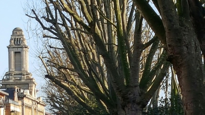 wp-1451563181653 image