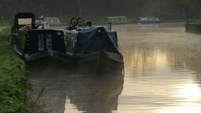 wp-1451643373562 image