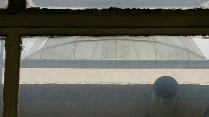 wp-1452616861533 image