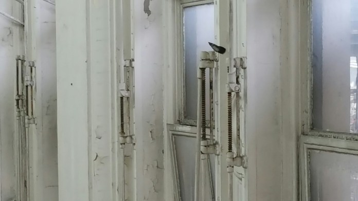 wp-1452616940575 image