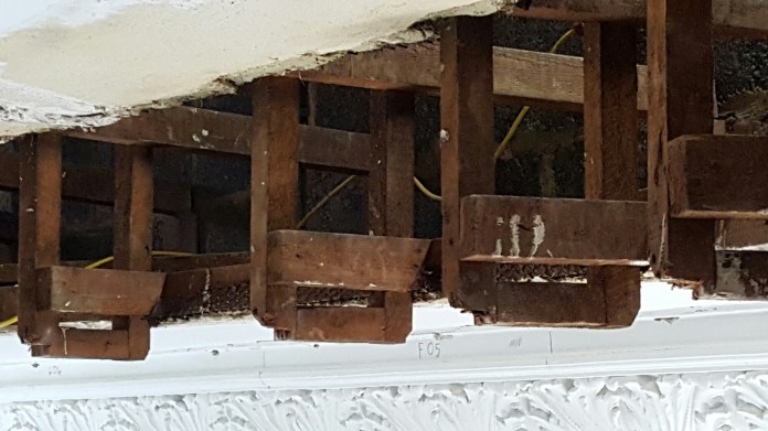 wp-1452617011355 image