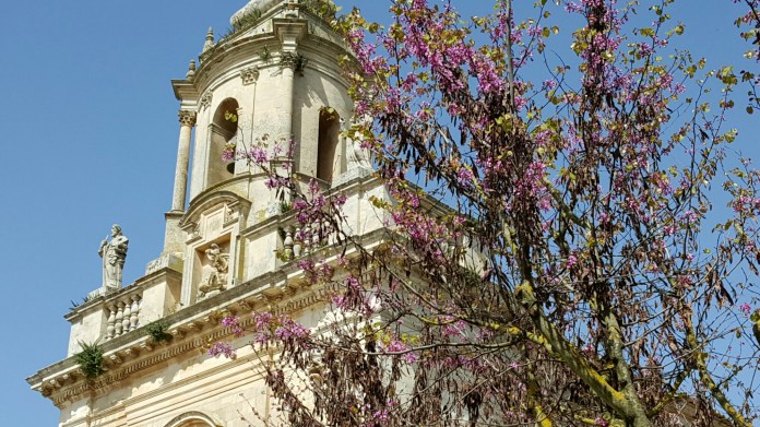 wp-1459526772041 image