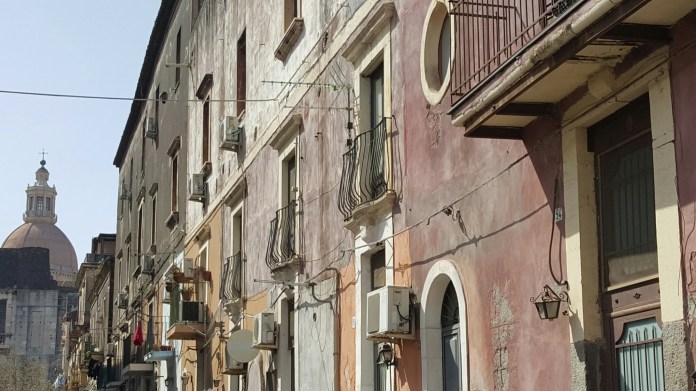 wp-1459705841423 image