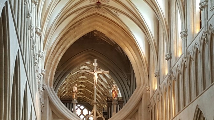 wp-1463230598833 image