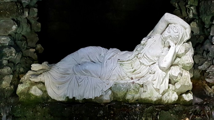 wp-1463335699006 image