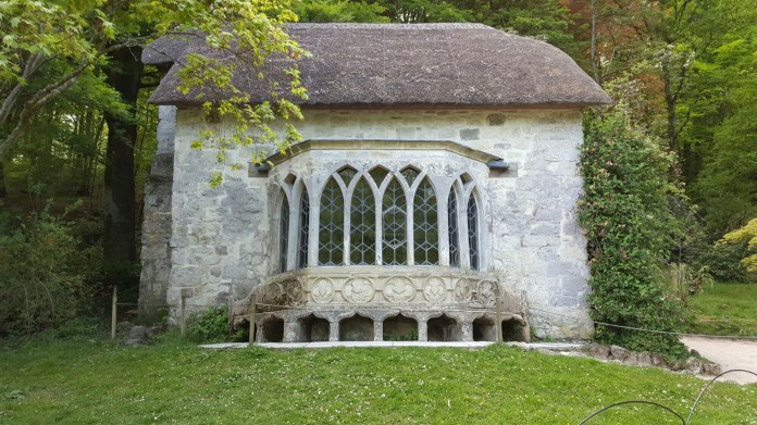 wp-1463335753408 image