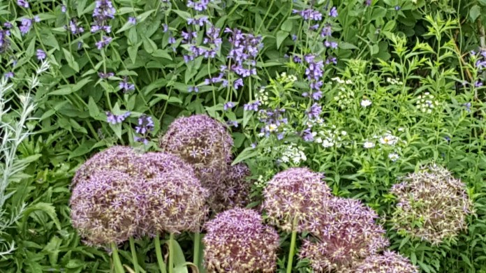 20160621_143727.jpg image