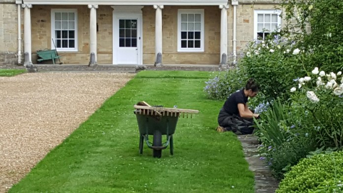 20160621_144003.jpg image