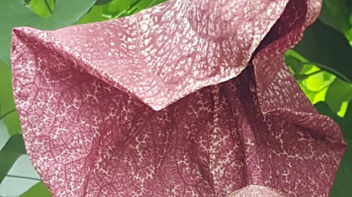 20160621_144919.jpg image