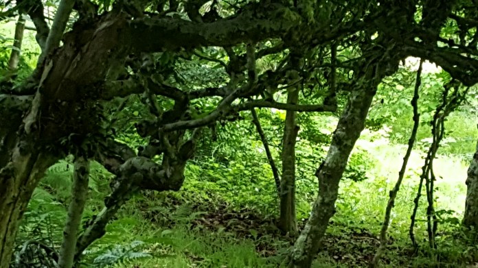 20160621_153425.jpg image