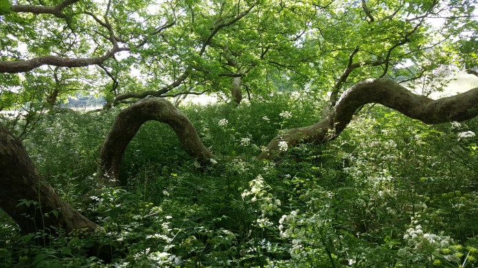 20160621_154615.jpg image