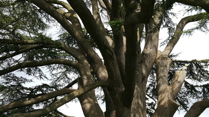 20160621_155805.jpg image