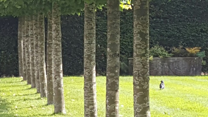 20160621_162751.jpg image