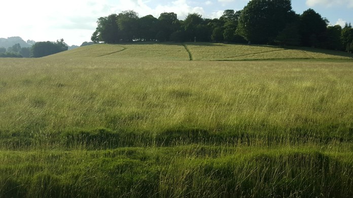 20160621_192232.jpg image