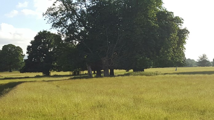 20160621_192301.jpg image