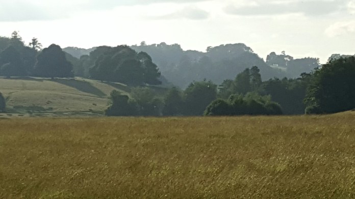 20160621_192347.jpg image