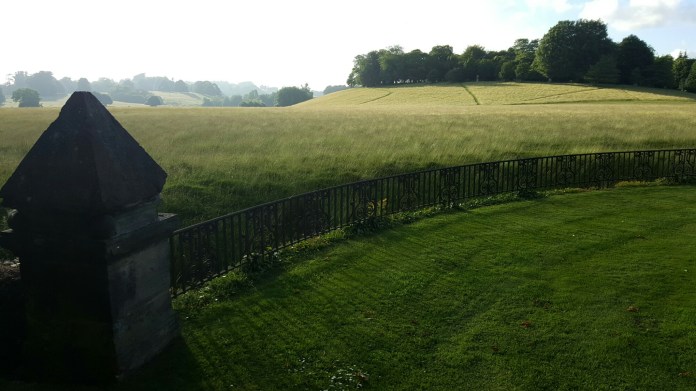 20160621_192415.jpg image