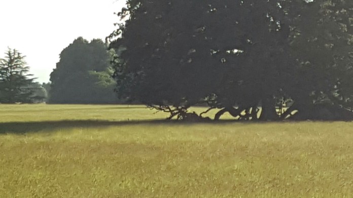 20160621_194020.jpg image