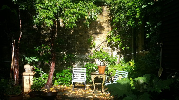 20160625_172051.jpg image