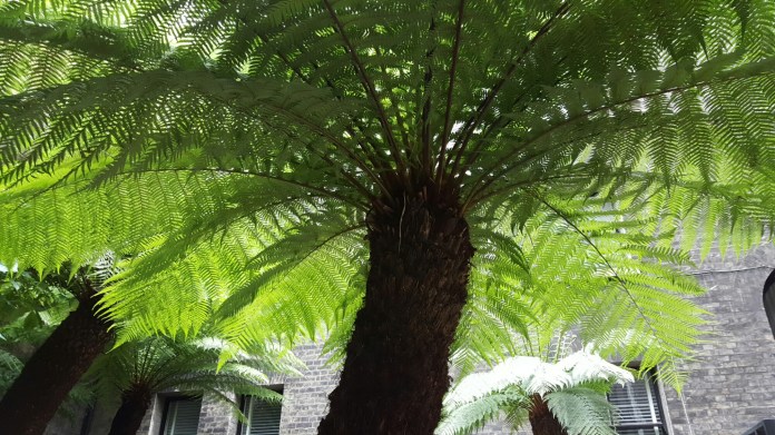 wp-1465054893001 image