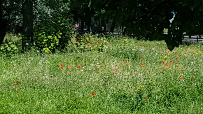 20160703_105306.jpg image